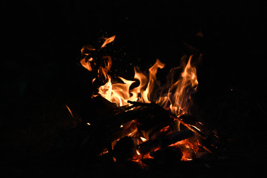 Similar image 22222241