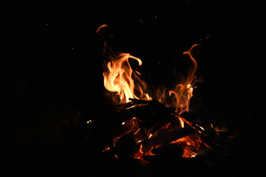 Similar image 22222243