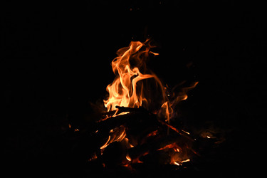 Similar image 22222244