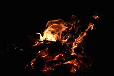 Similar image 22222432