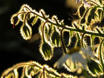 Similar image 22222879