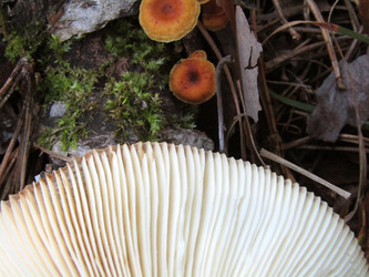 Similar image 22222266