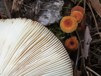 Similar image 22222267