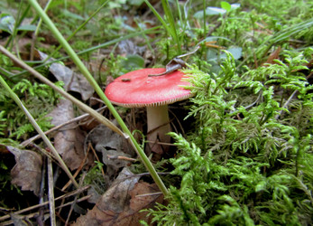 Similar image 22222268