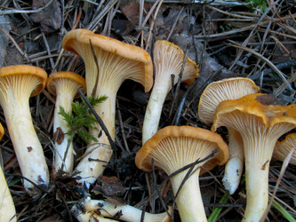 Similar image 22222269