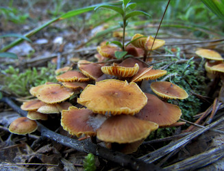 Similar image 22222270