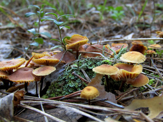 Similar image 22222271