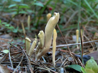 Similar image 22222273