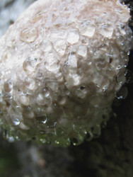 Similar image 22222274