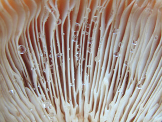 Similar image 22222275