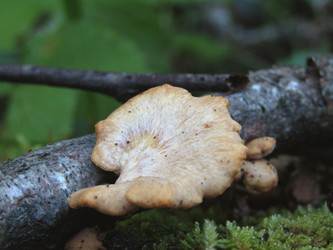 Similar image 22222277