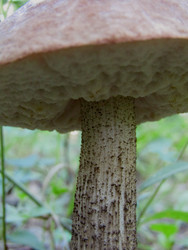 Similar image 22222279