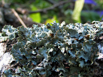 Similar image 22222280