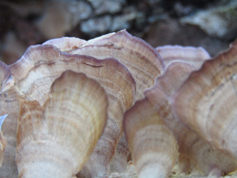 Similar image 22222282