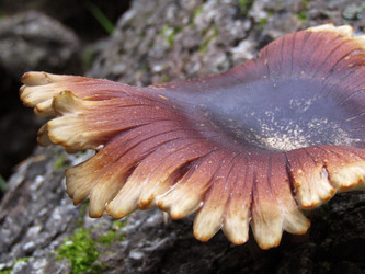 Similar image 22222283