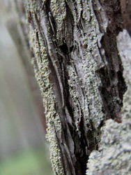 Similar image 22222284