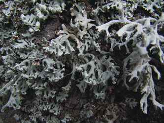 Similar image 22222285