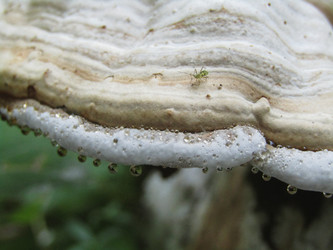 Similar image 22222287