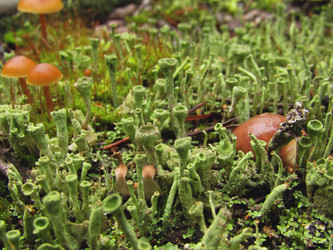 Similar image 22222290