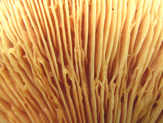 Similar image 22222291