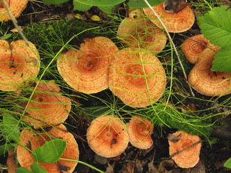 Similar image 22222292