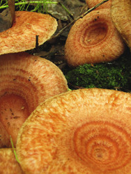 Similar image 22222293