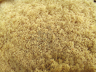 Similar image 22222295