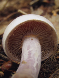 Similar image 22222296