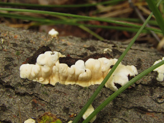 Similar image 22222297