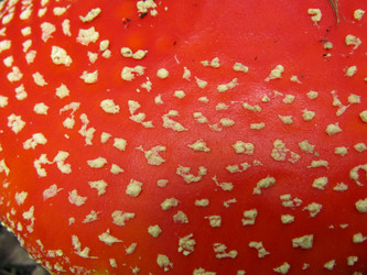 Similar image 22222298