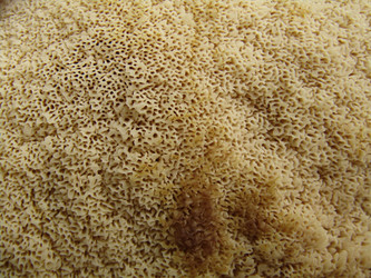 Similar image 22222299