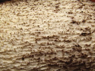 Similar image 22222300