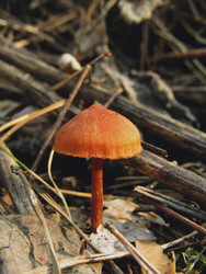 Similar image 22211142