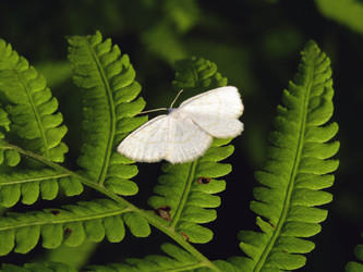 Similar image 22222302