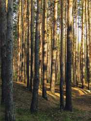 Similar image 22224077