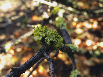 Similar image 22222304