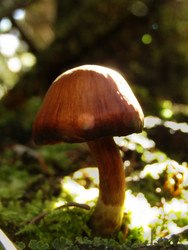 Similar image 22211143