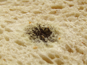 Similar image 22222880