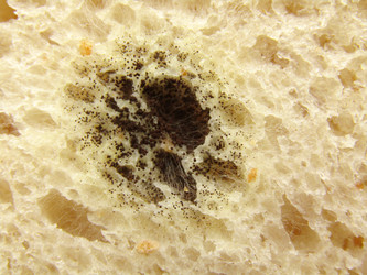 Similar image 22222881