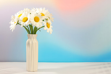 Similar image 22221864