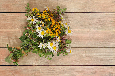 Similar image 22221869