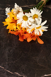 Similar image 22221870