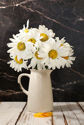 Similar image 22221872