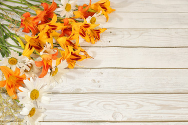 Similar image 22221873