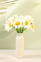 Similar image 22221874