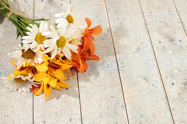 Similar image 22221879