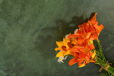 Similar image 22221884