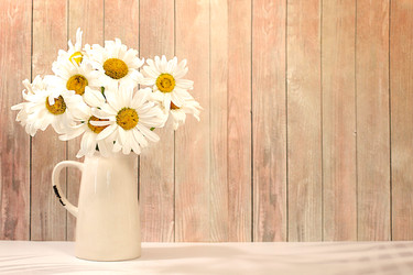 Similar image 22221885