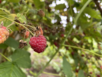 Similar image 22211561