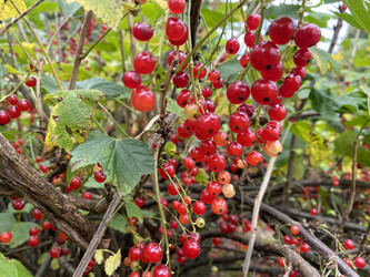 Similar image 22211562